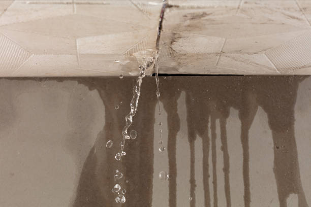 Professional Flood Damage Cleanup technician working in Ellwood City, PA